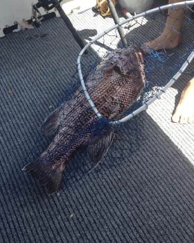 Fishing