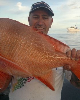 steve red 011