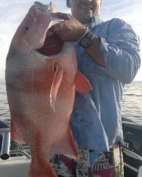 steve red 015
