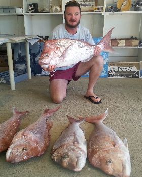 5 fish 012