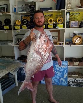 5 fish 014