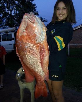 5 fish 001