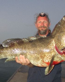 10kg of Gold Spot cod