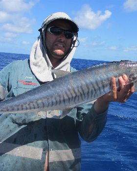Reef Fin Closure can be hard