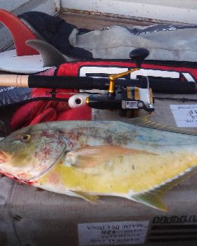 Fishing