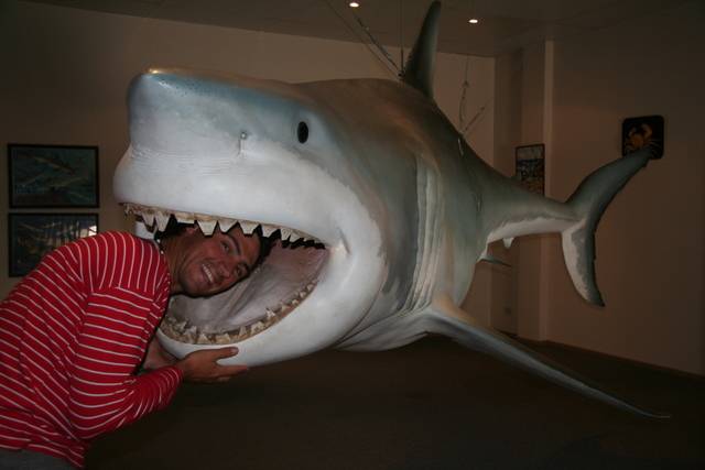 5m Shark caught off streaky bay in SA on 24 kg line **