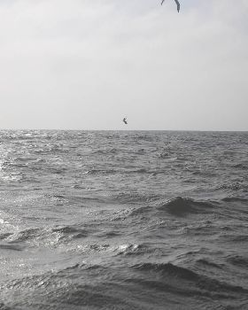 atripsmall-29
