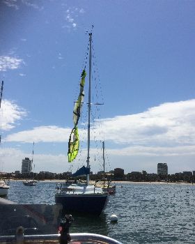 First trees then powerlines now yacht rigging