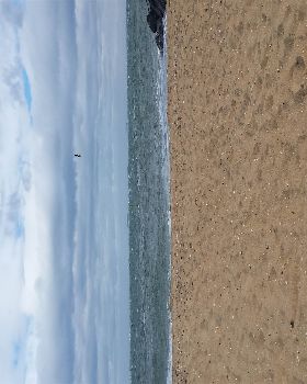 ripping