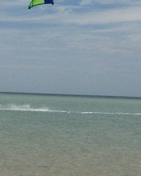 ricks hols 183