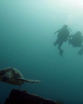 scuba