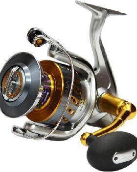 shimano-stella-sw-gr