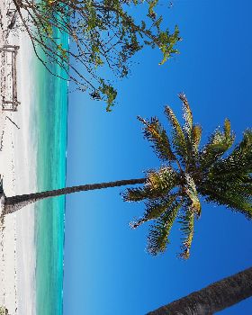 Zanzibar