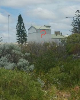 Just head for the Dingo....