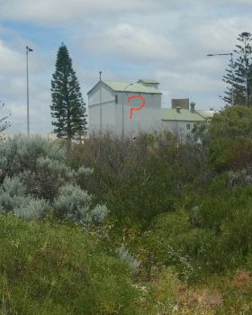 Just head for the Dingo....