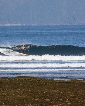 first morning, bit timid (this is indo after all)