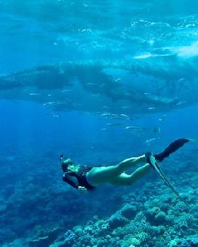 melissa-with-whale crop