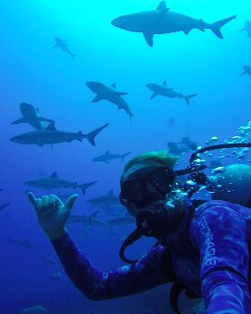 Scott with Sharks