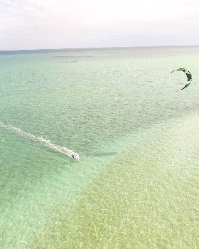 shark bay6