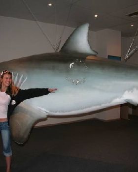 5m Shark caught off streaky bay in SA on 24 kg line **