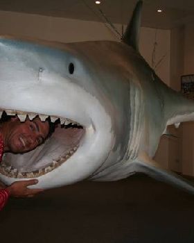 5m Shark caught off streaky bay in SA on 24 kg line **