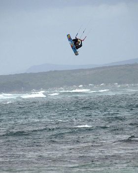 Buzz board 135 carbon