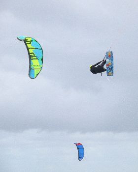 Buzz 135