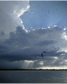 Noosa river
