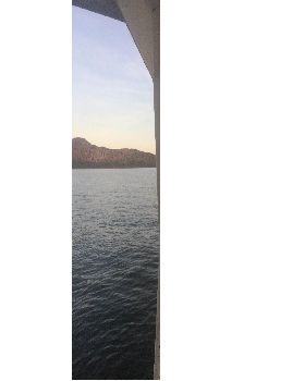 481 IMG 2426