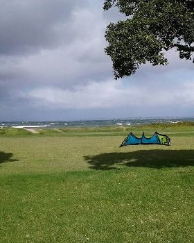 Kite
