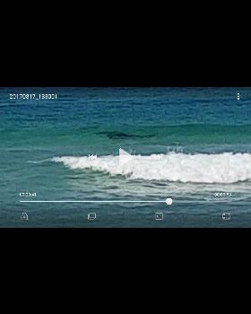 Screenshot 20170821-123750