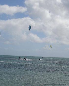 Windy day @ woodies