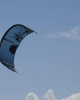 Windy day @ woodies