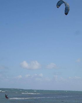 Windy day @ woodies