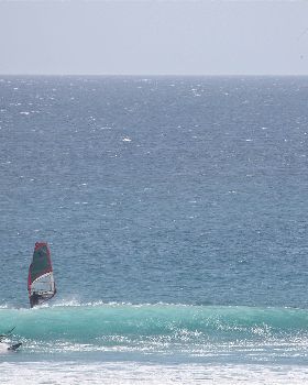 wave kites