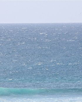 wave kites