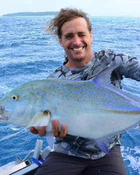 Moon Tours - PNG KITE TRIP