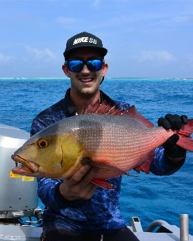 Moon Tours - PNG KITE TRIP