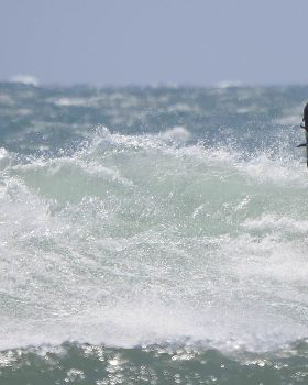 Avalon Beach