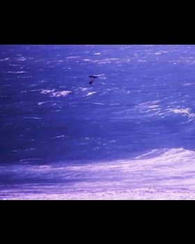 Kiteboarding