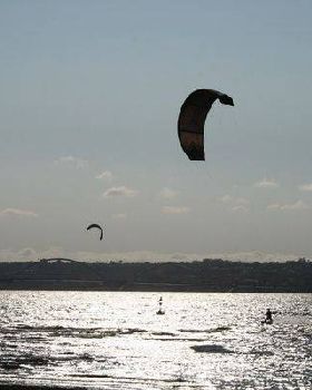 Mariones from Brazil - Paranoá Lagoon 