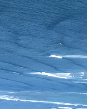 Kiteboarding