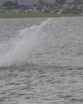 Kitesurfing