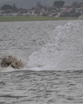 Kitesurfing