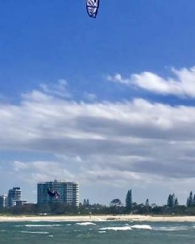 kite cotton tree me 2018