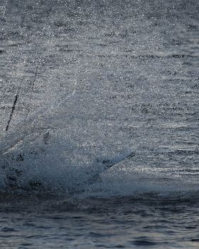 Kitesurfing