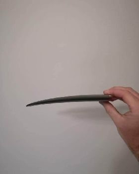 wing front