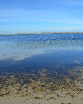 Algae impact from excessive nutrients