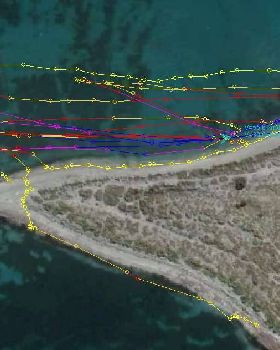 Track Data