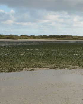 Kitesurfing
